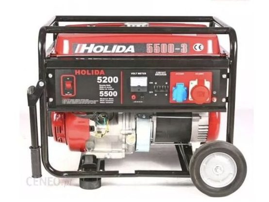 Генератор інверторний  Holida WM6000Ei 5,5 kw 230V, бензиновий 1627101249 фото